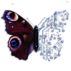 Digital Creations